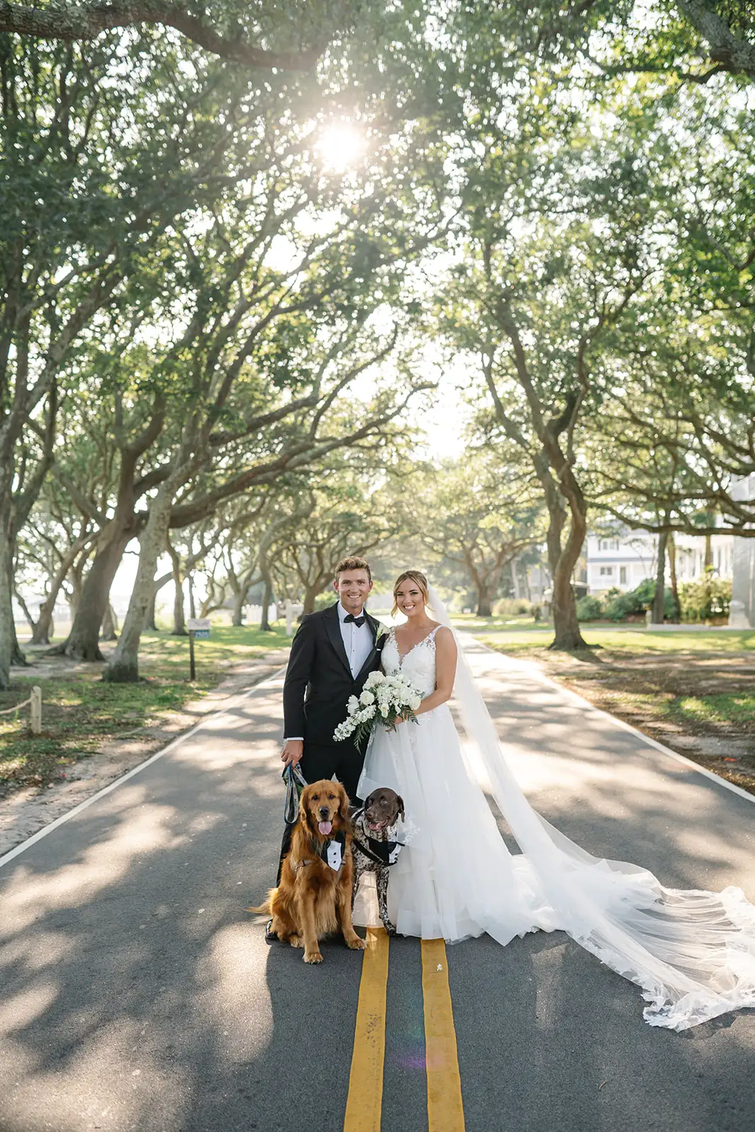 Bride, groom and dogs at Beaufort Hotel Wedding