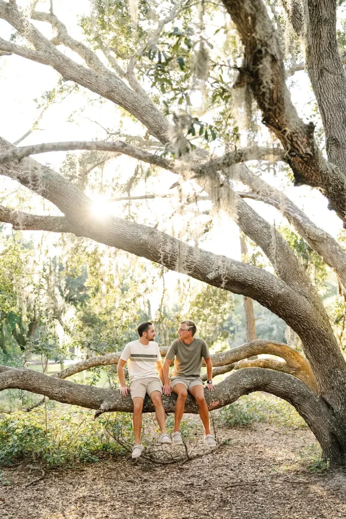 couple sitting on a tree limb in engagement photo