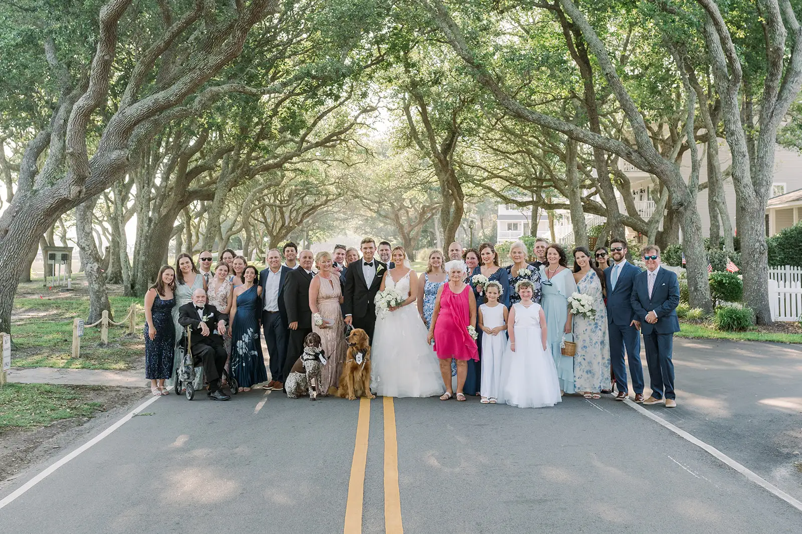 Large family wedding photo North Carolina under canopy of trees